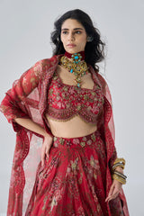 Chhavi Lehenga Set