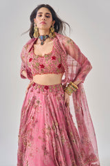 Rahi Lehenga Set