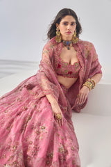 Rahi Lehenga Set