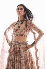 Warda Lehenga Set