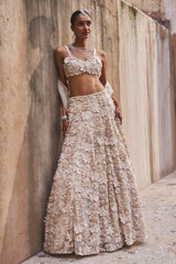 Ivoria Lehenga Set