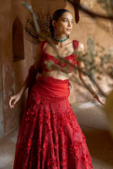 Crimson Aura Lehenga Set