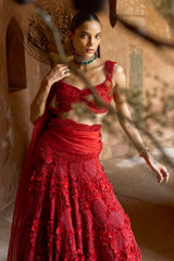 Crimson Aura Lehenga Set