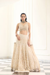 Noorani Lehenga Set