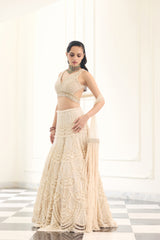 Noorani Lehenga Set