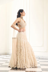 Noorani Lehenga Set