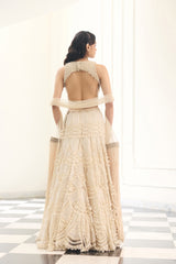 Noorani Lehenga Set