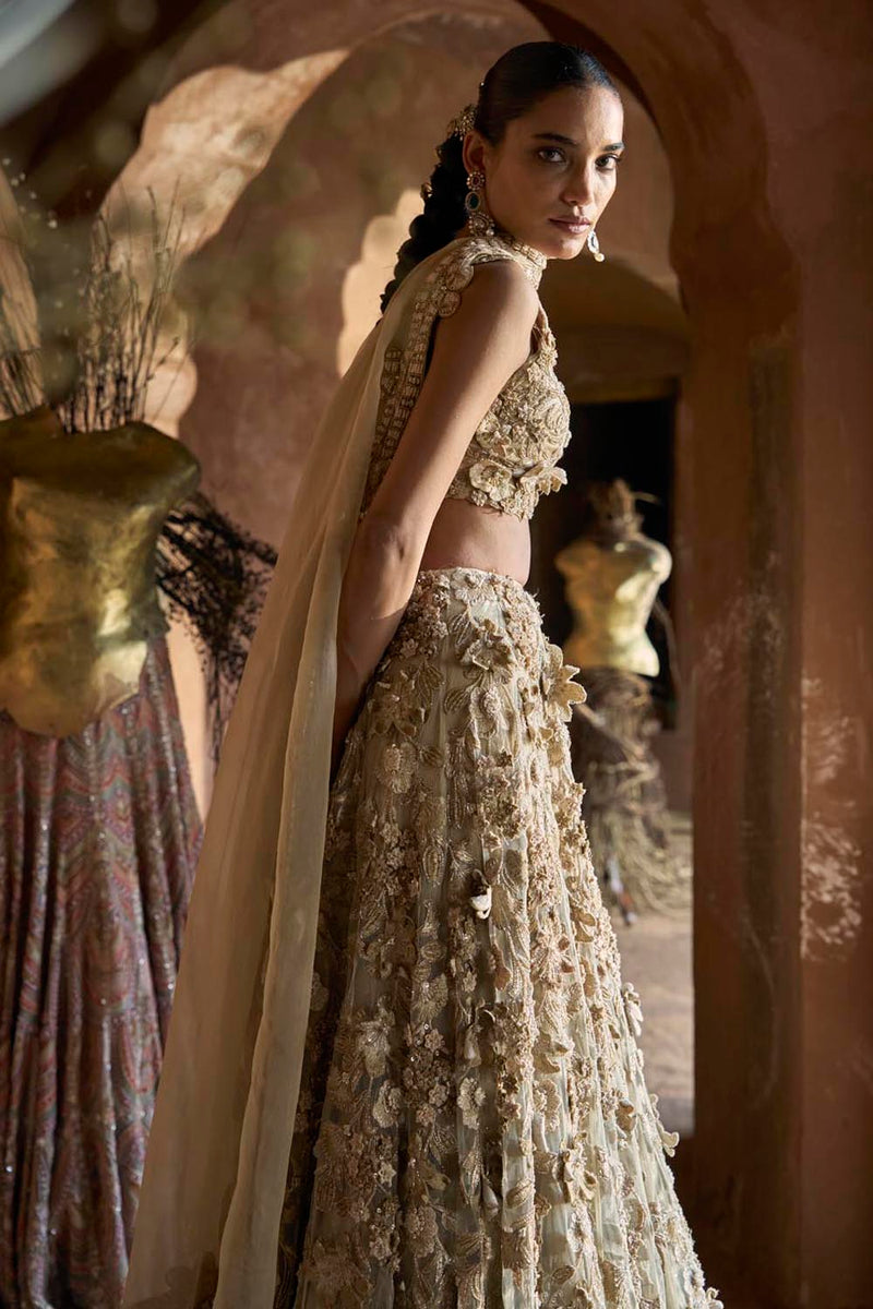 Sonare Lehenga Set