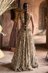 Sonare Lehenga Set