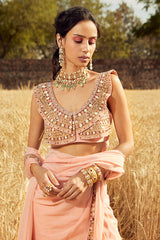 PINK EMBROIDERED PRE-DRAPED SAREE